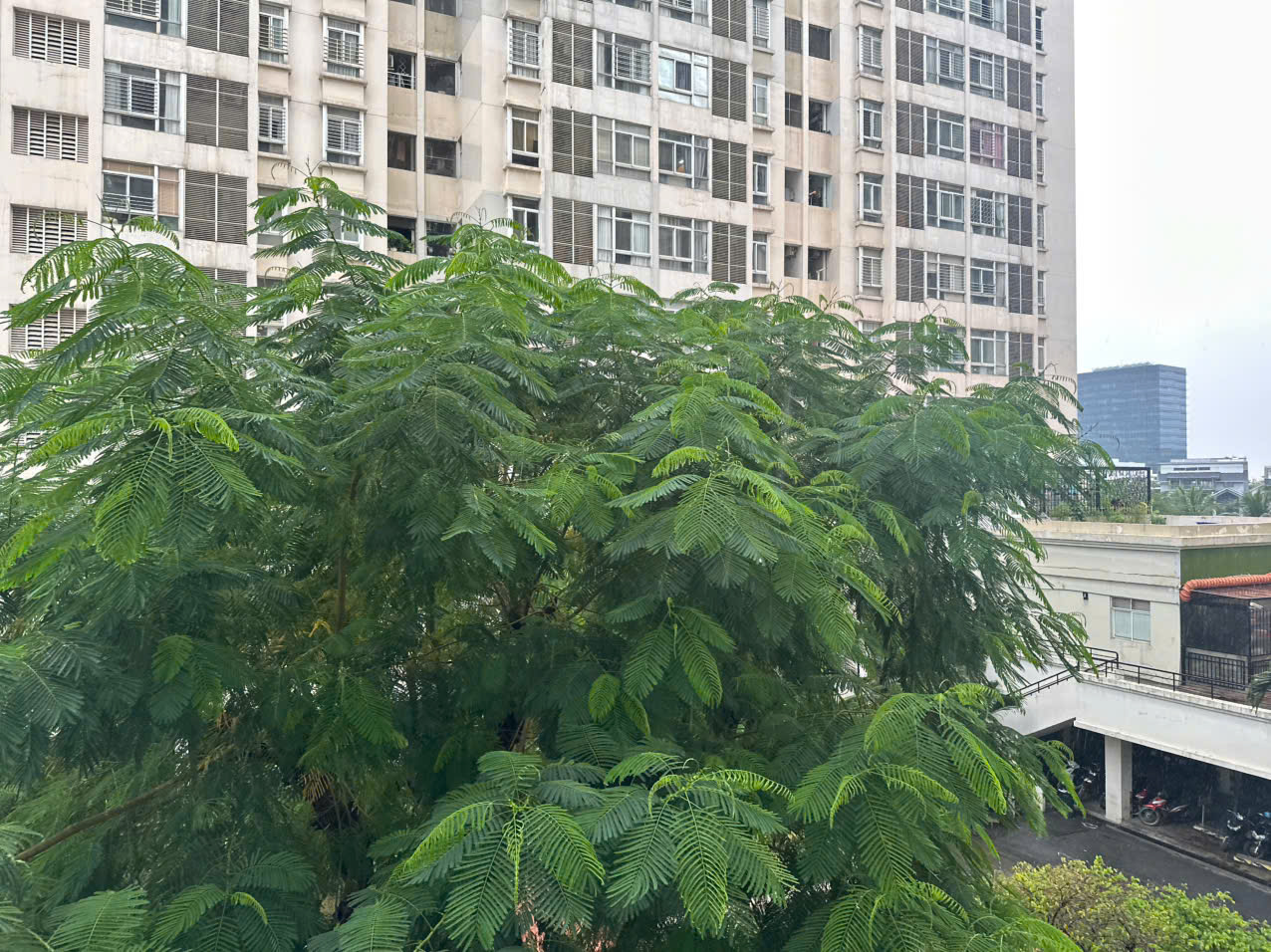 z7208414963531_4fc56298685d4247c2d59811343d5c83